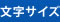 文字サイズ