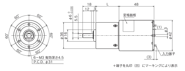 外形図